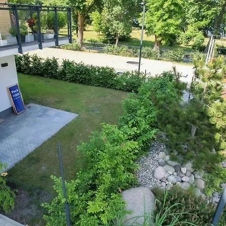 Nexo U Doroty 2os Puck